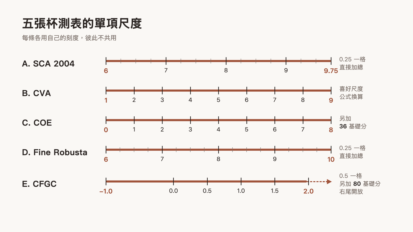 五張杯測表的單項尺度各畫一條軸：SCA 2004 6–9.75、CVA 1–9、COE 0–8 另加 36 基礎分、Fine Robusta 6–10、CFGC -1.0～2.0 另加 80 基礎分且右尾開放