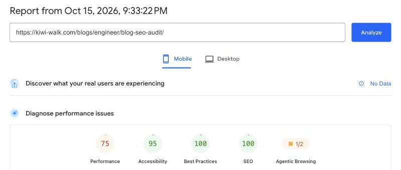 PageSpeed Insights 手機版報告：上方「Discover what your real users are experiencing」顯示 No Data，下方五個分數 75、95、100、100、1/2